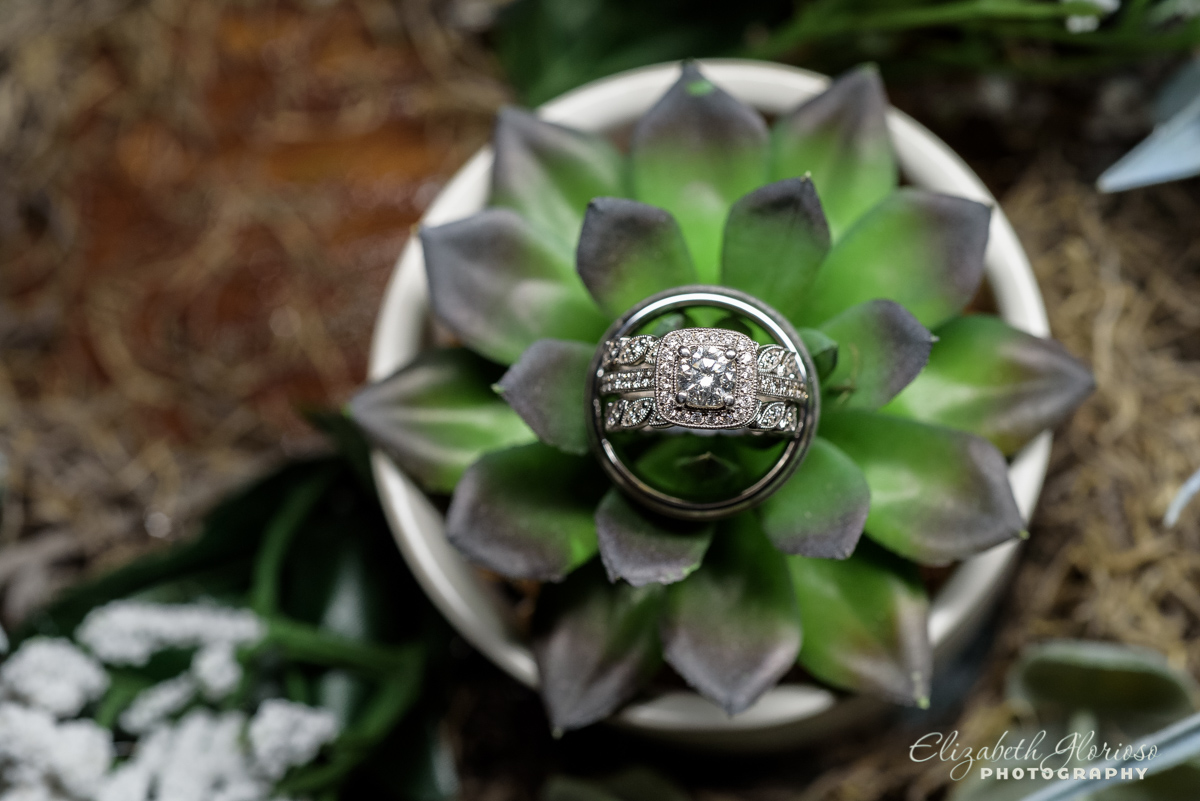 Wedding rings with succulent plant